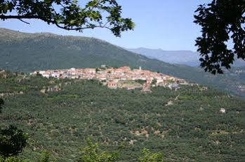 Agriturismo Dinoabbo Apt Apartment