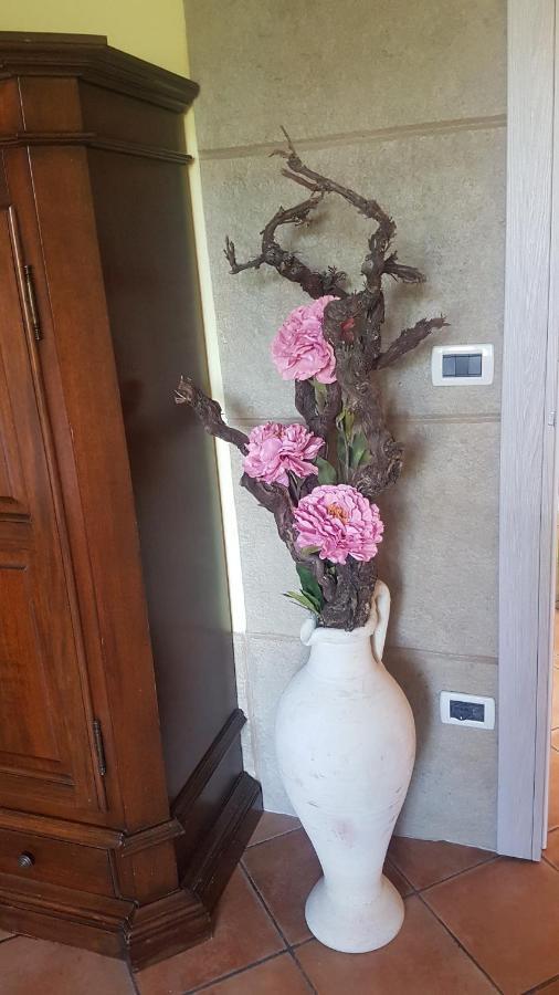 Dinoabbo Appartement Lucinasco
